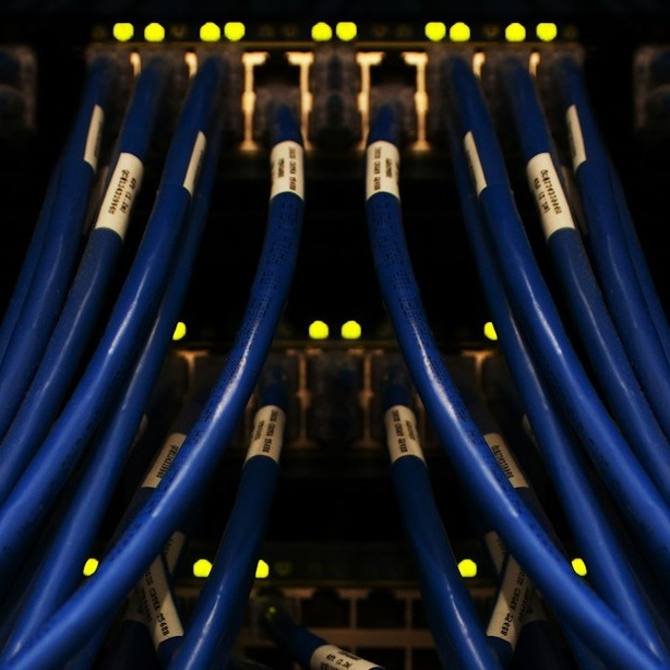 Mehrere blaue Netzwerkkabel, die in einen Server- oder Netzwerk-Switch eingesteckt sind, mit leuchtenden Status-LEDs im Hintergrund.